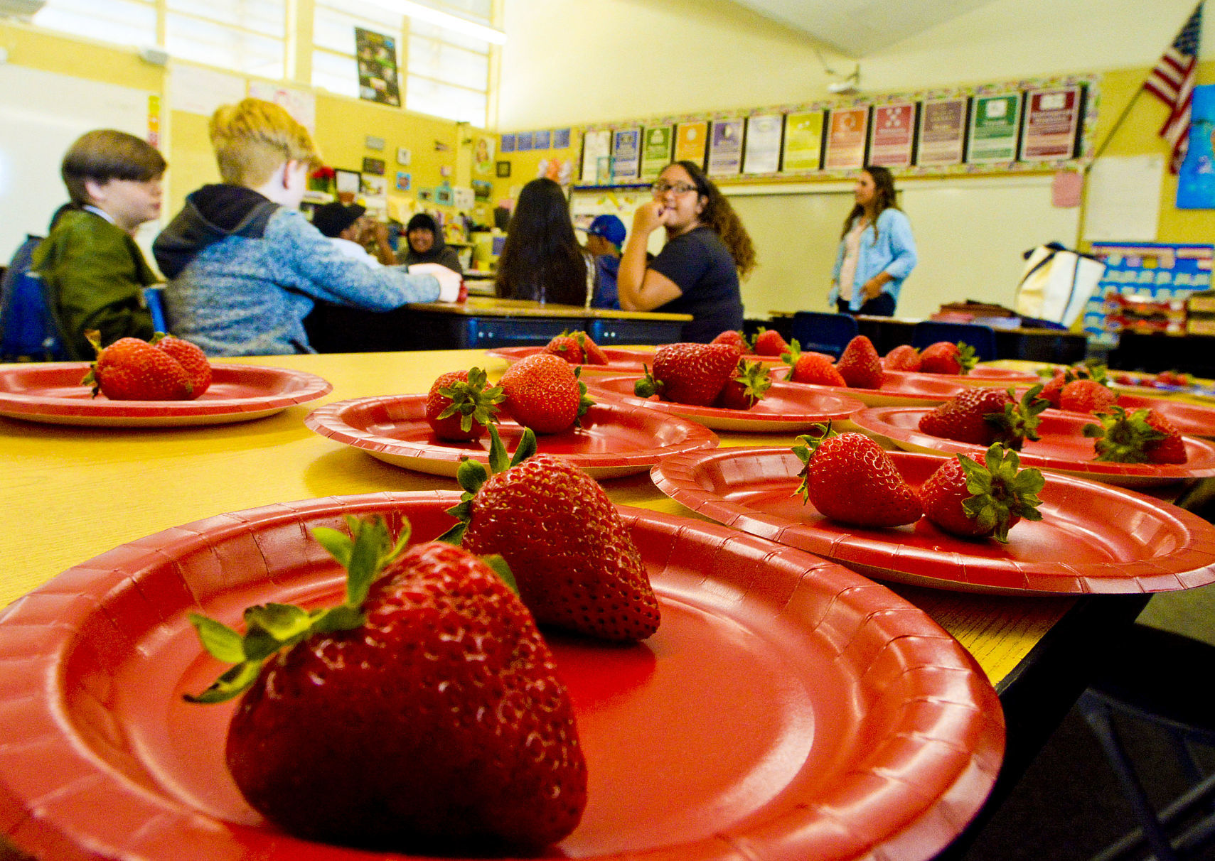 072419 STEM days 03.jpg